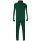 Image for Dark Green